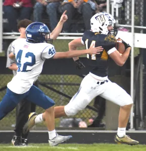 Golden Eagles seeing good returns